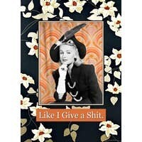 Like I Give Shit Magnet